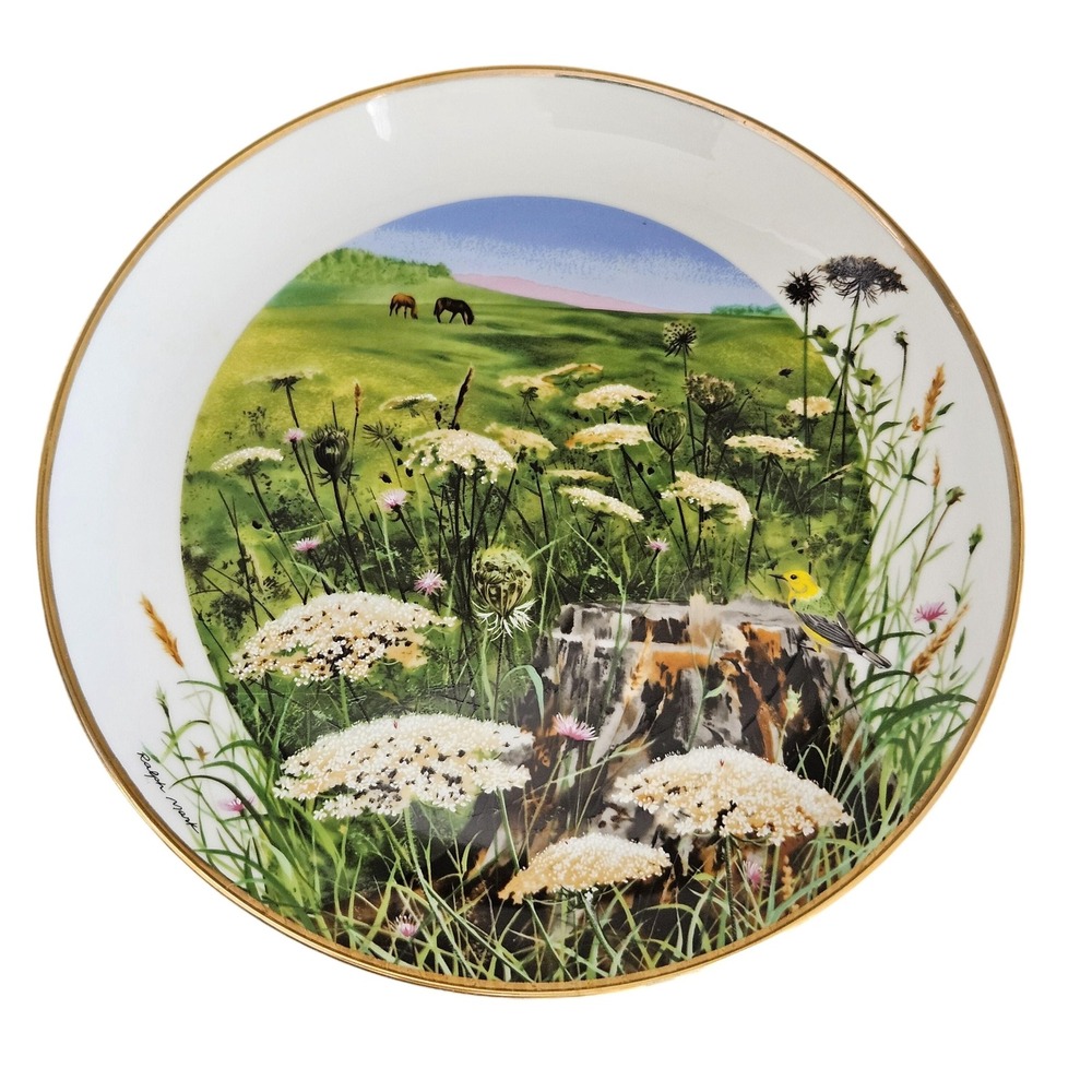 VTG Decorative Plate Royal Windsor Queen Anne Lace Wildflowers South Gold Trim